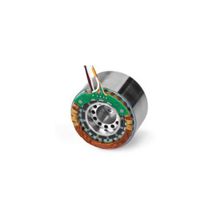 Product picture of the Frameless Brushless DC (BLDC) Motor